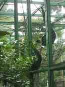 HongKong mei 2008 025.jpg